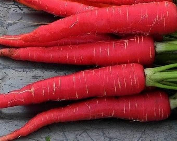 Indian Carrots