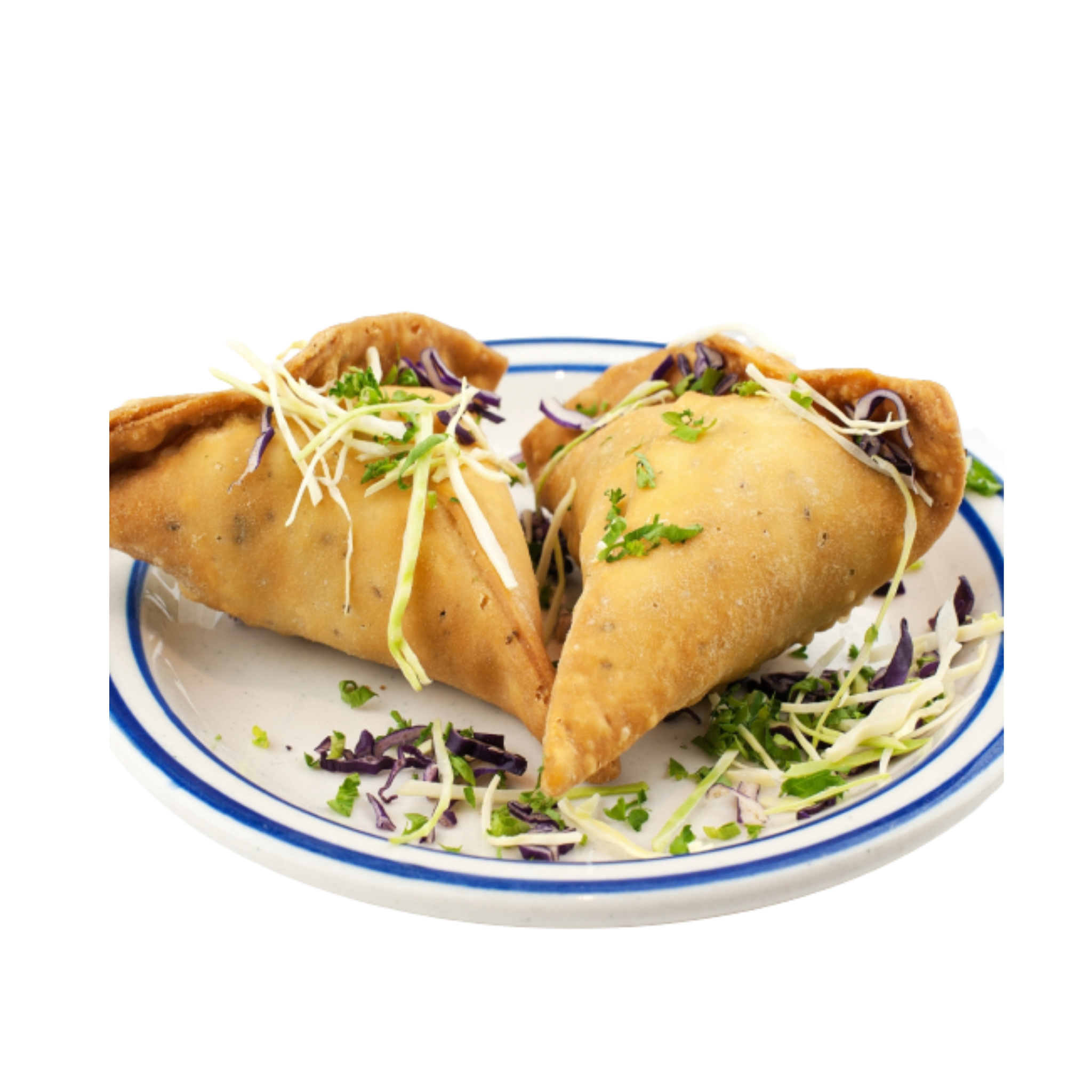 Two Crispy Veg. Samosa
